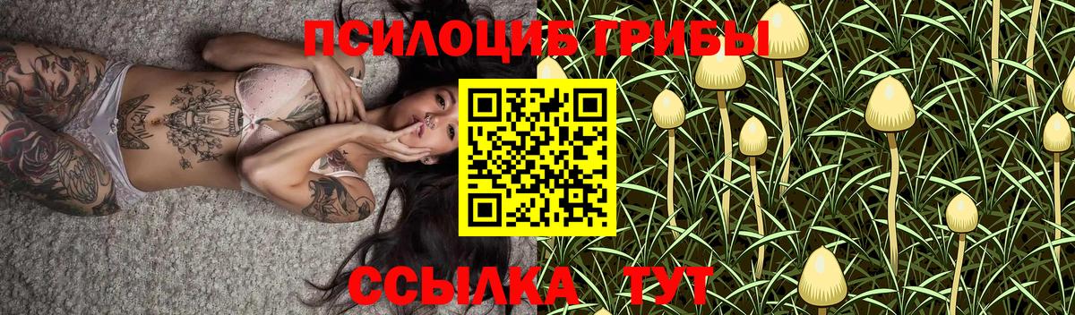 Галлюциногенные грибы Magic Shrooms  Вход с VPN  Псилоцибиновые грибы мицелий  Златоуст 